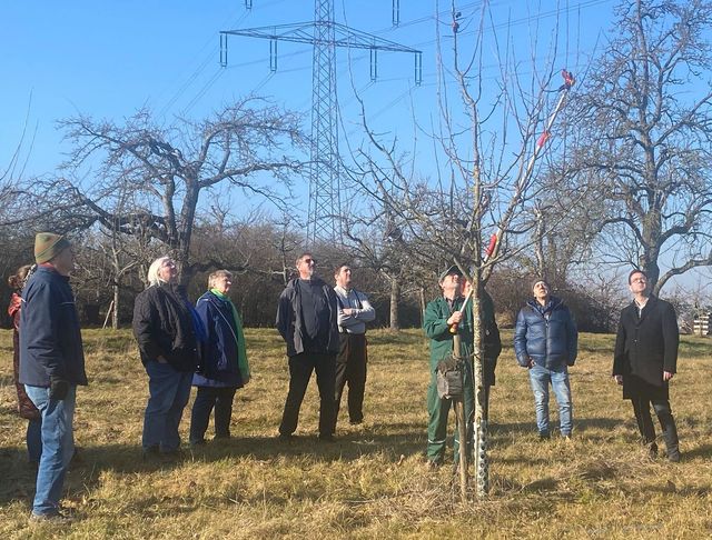 Baumschnittkurs bei herrlichem Sonnenschein: Ein wichtiger Beitrag zu Klima- und Umweltschutz