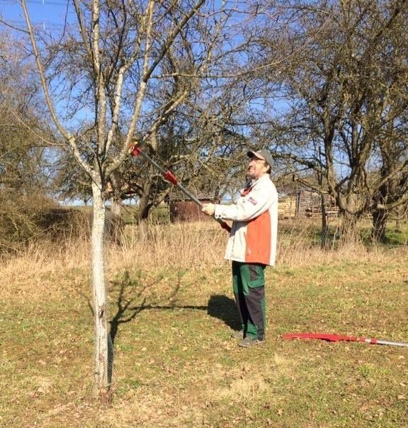 Baumschnittkurs mit Fritz Pfleghar